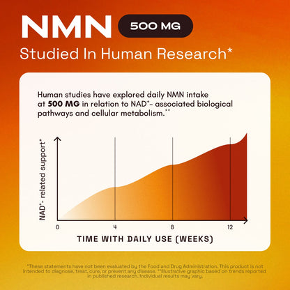 Cata-Kor NMN Supplement, Quercetin, TMG, Resveratrol – Supports Cellular Energy & NAD+ Levels