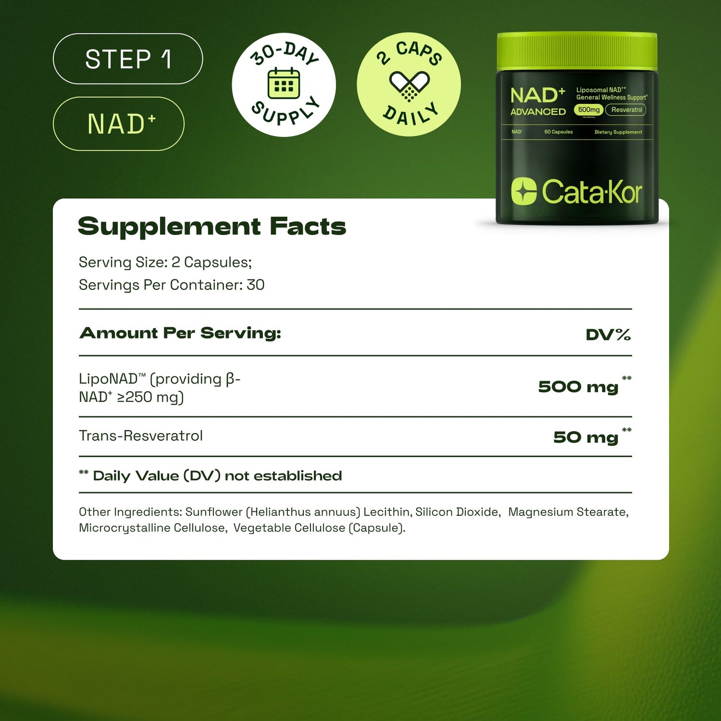 Cata-Kor Cellular Power Trio - NAD Advanced 500 mg, NMN 1000 mg, CA AKG 1000 mg - Resveratrol, TMG, MSM